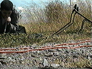 bran gif