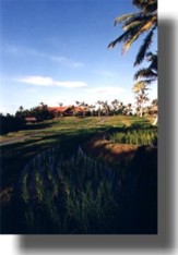 View looking towards Golf Clubhouse