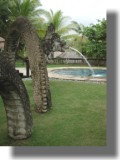 Stone Dragon spouting into kiddies pool