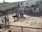 c0062.jpg