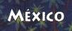 mxico
