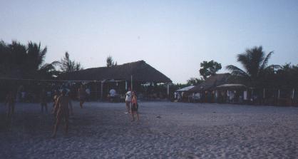 volei