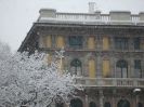Cairoli Neve