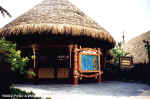 Polynesia - Bora-Bora
