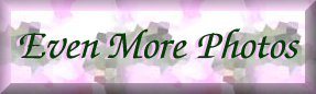Image of EvenHeader01.jpg