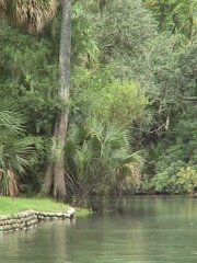 Image of lithia101.JPG