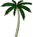 Image of plamtree02.gif