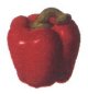 Image of rd_pepper01.jpg