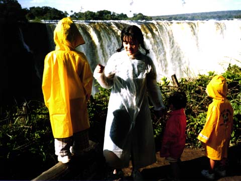 Victoria Falls (33k)