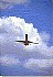 MD80FlyBy.gif