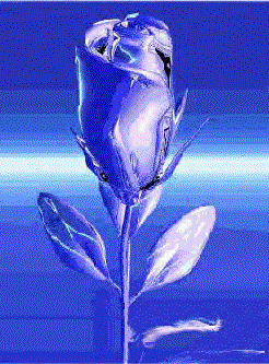 Isn't it puuuurrrty..??