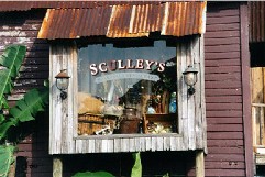 sculleys2.jpg (21303 bytes)