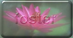 foster.jpg (9044 bytes)