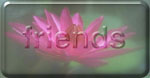 friends.jpg (9056 bytes)
