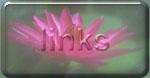 links.jpg (8930 bytes)