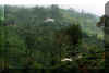 mist95.jpg (70860 bytes)