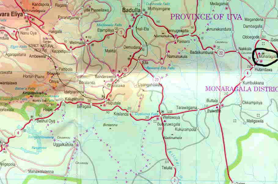 monera.jpg (43278 bytes)