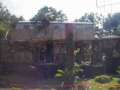 Geroge of the Jungle's house