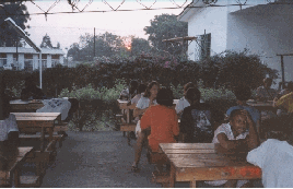 img11.gif (28934 bytes)
