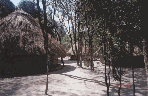 img13.gif (25737 bytes)