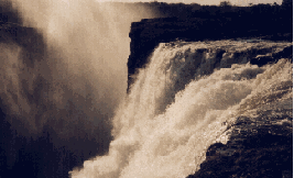 img21.gif (24162 bytes)