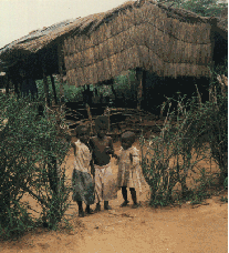 img31.gif (27477 bytes)