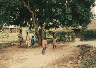 img32.gif (41895 bytes)