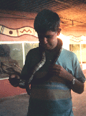 img37.gif (25509 bytes)