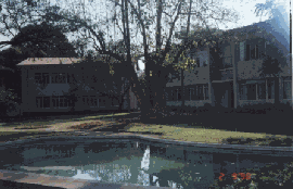 img9.gif (19381 bytes)