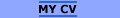 Kenny's CV