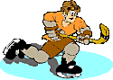 Dallas Stars