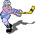 Minnesota Wild