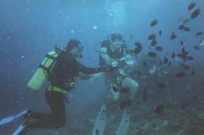 fishfeeding.jpg (4141 bytes)