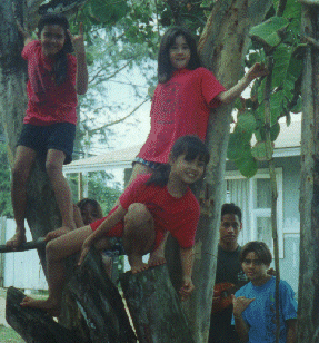 My hoa noho in Hau'ula