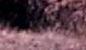 Npal / HongKong / gypte / Cambodge / Rajasthan /