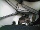 Kitties huddled under cushions while sailing