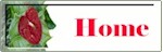 Nedra's Personal HomePage