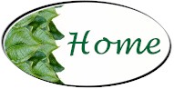 Nedra's Personal Home Page