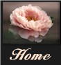 Nedra's Personal HomePage