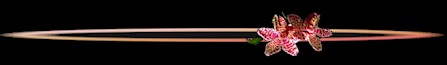 one bar, li'dat