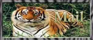 Tell me how much you love my graphics