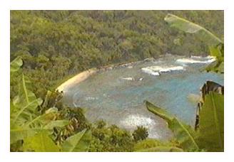 Secluded Beach