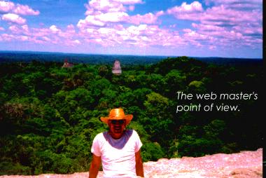 web master's view