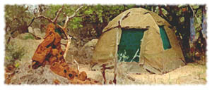 Tent (18KB)