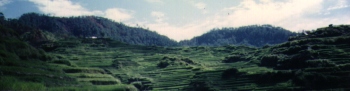 The rice terraces from the end of the rough road.