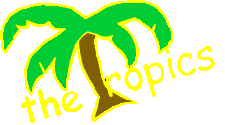 The Tropics