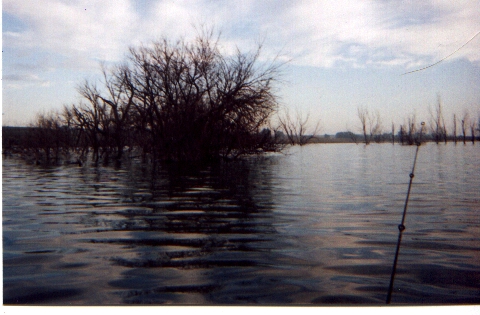 Walnut Creek