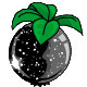 medberry3