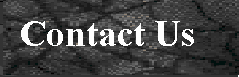 Contact Us at the Website Weaver