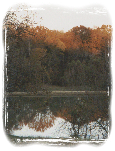 Copyrighted 2000 by mbs PROductions. All Rights Reserved.